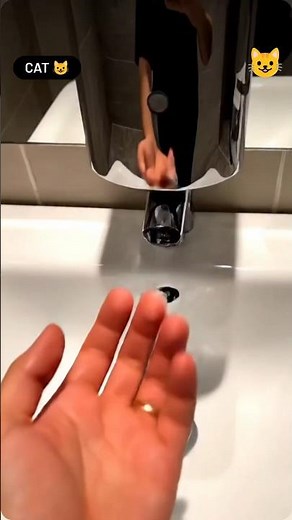 “Cute AI Cat Washing Hands 😺💧 | Funny Cat Short”