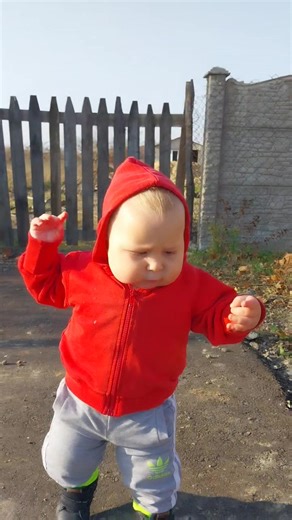 104K views · 7.8K reactions | ბედნიერი ნაბიჯები დედას ნოე | სანი ნოე | Facebook