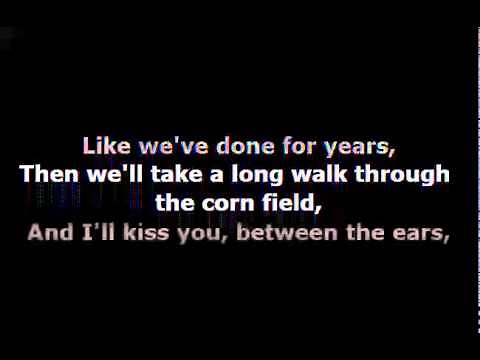 Owl City - The Bird and the Worm with Lyrics