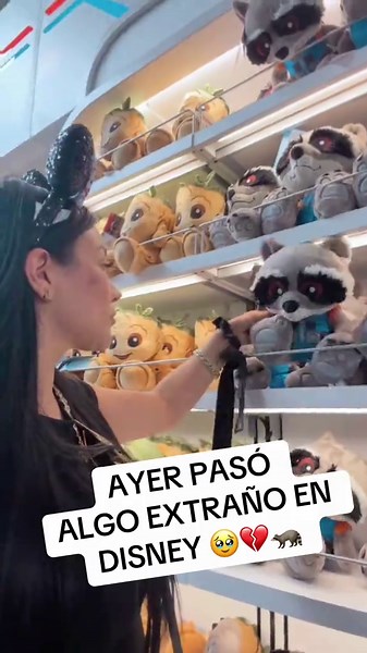 #roket 🦝 | rocket madrina gediva