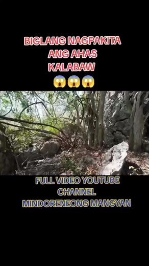 789K views · 2.9K reactions | AHAS KALABAW SA GUBAT  #viralvideoシ #KMJS #viral | Mindoreneong Mangyan | Facebook