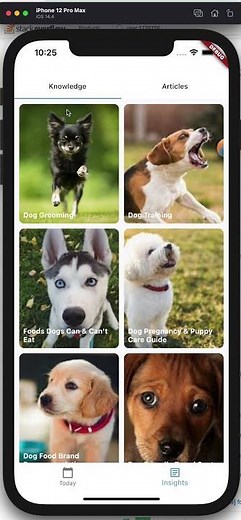 Flutter GridView and ListView