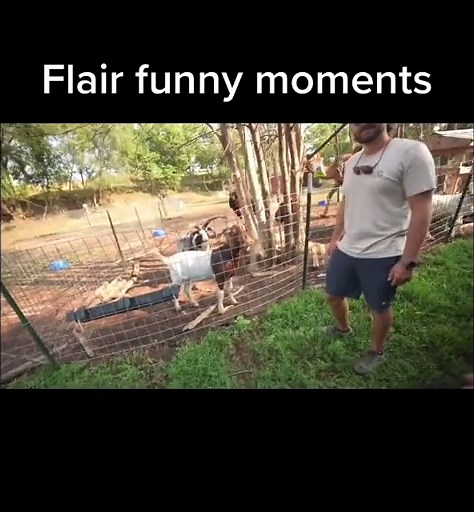 #flair #foryou #funnyflairmomnets
