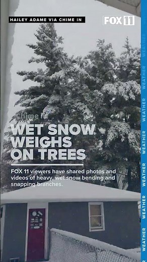 Heavy, wet snow snaps tree branches in Wisconsin