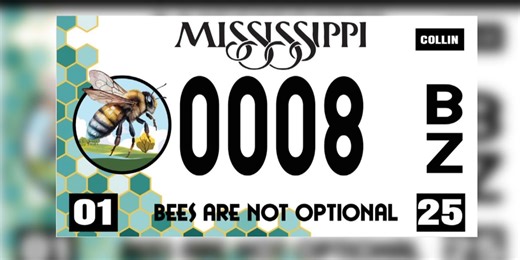 Mississippi honey bee specialty license plate now available for pre-order