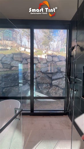 Dream Smart Tint Bathroom Spa