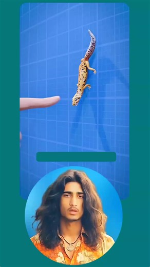 Understanding Lizard Bites: What You Should Know