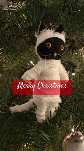 I am weak. Do you have cat scratch fever #rock #badbones #catvideo