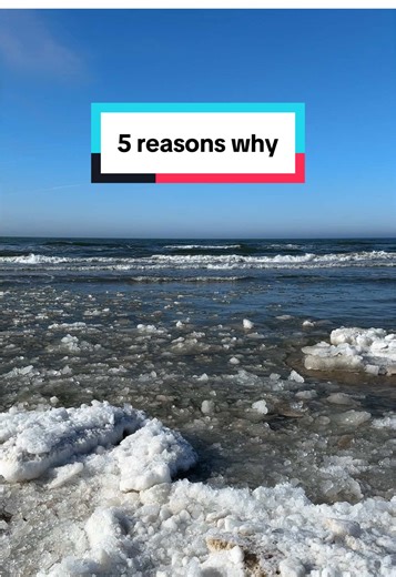 Boost Your Oral Health: 5 Daily Chewing Benefits