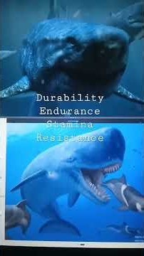 Round 2: Megalodon (Slender Build) VS Livyatan | #edit