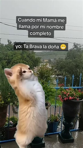Cuando tu mamá te llama por tu nombre completo