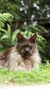 Perfect weather to be outside. | Mr. ViVo