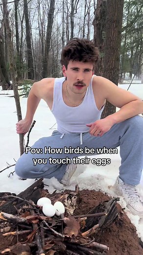 Don't Touch Bird Eggs: A Father's Warning