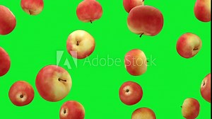 Apples are falling into transparent space on green screen background. Seamless looped 4K Footage