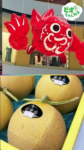 京阪沿線のモールで日本の伝統文化を再発見「京阪流通システムズ」【京阪ビオスタイル】