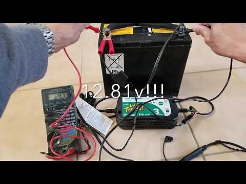 DELTRAN 6v & 12v Vehicle & Motorcycle Battery Tender Full Instruction & Troubleshooting Guide!
