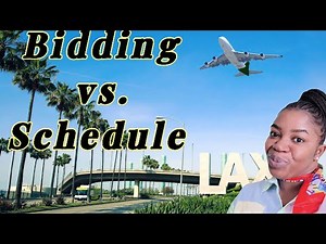 How to Bid for my Flight Attendant Schedule