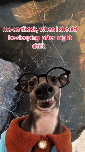 Never ending scrolling. #relatable #tiktok#addict#justforfun #fun