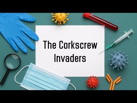 C. 08. The Corkscrew Invaders