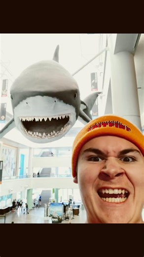 Jaws Theme Tutorial for Violin #violin #shorts