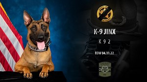 Procession held for K9 that died in Manitou Springs shooting