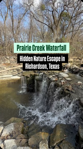 Tucked away in the peaceful neighborhoods of Richardson near Plano, Prairie Creek Park is one of the most beautiful hidden waterfall spots in the Dallas–Fort Worth area. 🌿💦 This scenic urban oasis features a charming Prairie Creek Waterfall surrounded by tall trees, wooden bridges, and walking trails — making it feel like a nature retreat right inside the city. Located just minutes from Plano and North Dallas, this serene park is perfect for morning walks, photography, relaxing by the creek, a