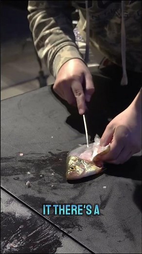 How to Fillet Crappie Like A Pro