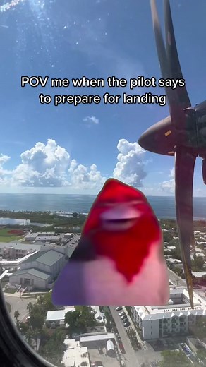 Vacation Time in Key West with Silver Airways