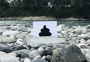 Would you be able to stomach poo-shaped pudding?