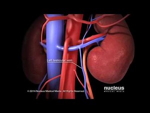 Urology Specialists of Austin: Varicocele Repair