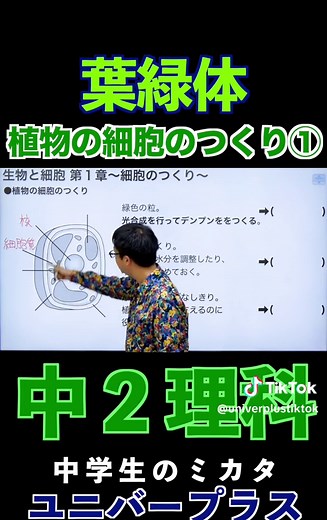 植物の細胞と葉緑体の役割解説
