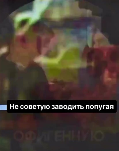 когда на базаре взял попугай по скидке за 300