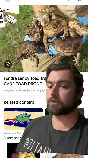 Australia's Cane Toad Invasion: A History Lesson