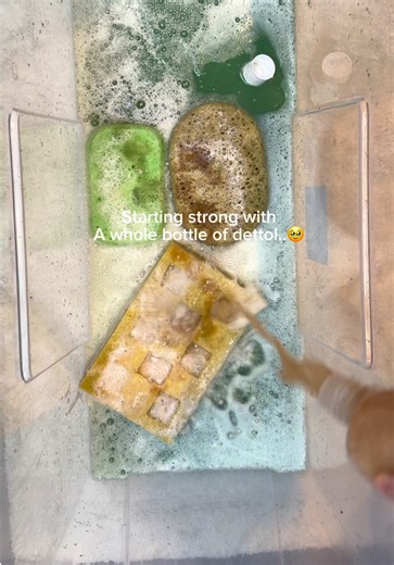 Unboxing a Sponge That Was a Total Letdown