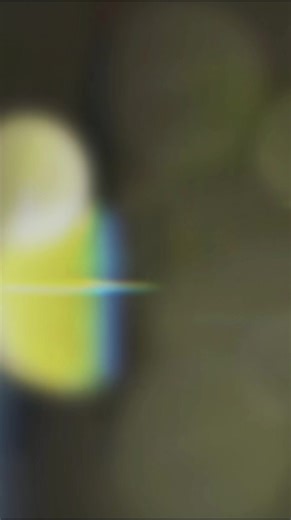 Understanding BabAR: A Unique Cultural Perspective