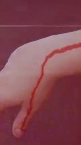 14 reactions | It’s coming - visit releases.wearelikewise.com to register for early access. Registered members will receive access 24 hours before the public release. | We Are Likewise | Facebook