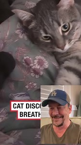 hahahaha! | Robbie The Problem Cat