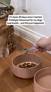 In just 30 days, this dogs breath went from stinky to minty fresh 🤯 | PetLab Co.