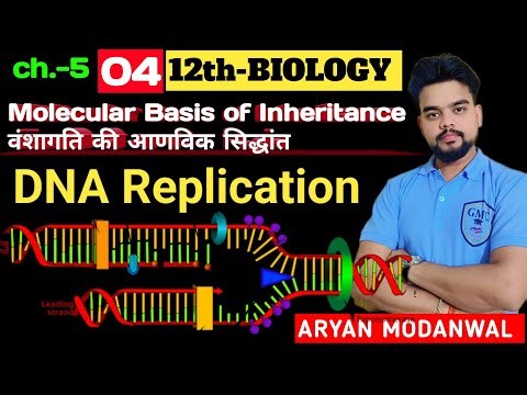 🔬 DNA Replication | Easy Explanation in Hindi | How DNA Makes Copy of Itself🧬 डीएनए रिप्लिकेशन