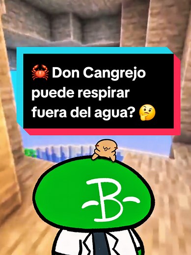 ¿Puede Don Cangrejo respirar fuera del agua? Explicación de cangrejos