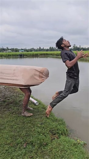 How did the cow push from behind 72