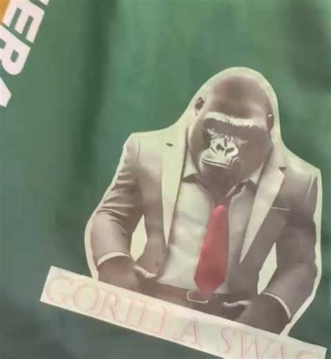 Gorilla Swag | We are excited to partner with the world champion @yoelromeromma during his @bareknucklefc deput on Sep 12th. Look for the Gorilla Swag... | Instagram