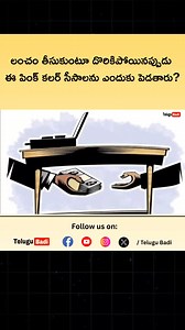 లంచం తీసుకుంటూ దొరికిపోయిన‌ప్పుడు ఈ పింక్ క‌ల‌ర్ సీసాలను ఎందుకు పెడతారు? | Telugu Badi