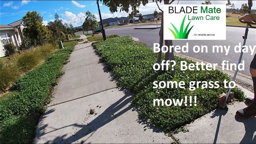 Removing Dense Clover: Field Maintenance and Footwear Durability Test