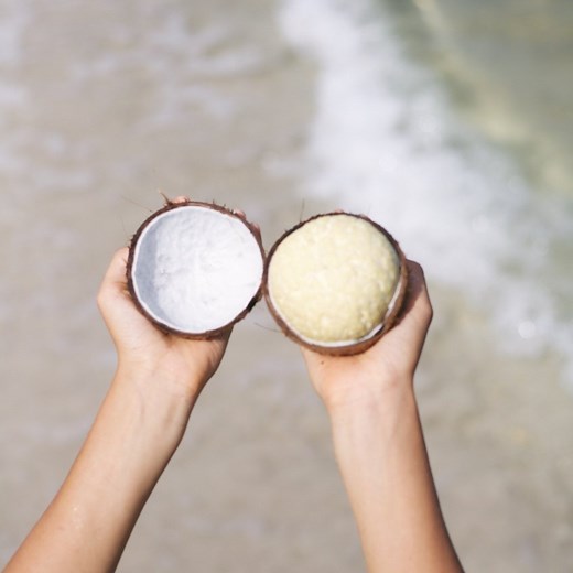 Sprouted Coconut *Pre-Order*