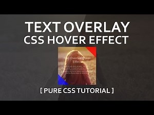 Animated Image Hover Effects with Captions - Text Overlay Css Hover Effect