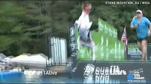 Long-jumping dogs make a splash in dock-diving contest