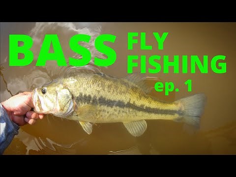 BASS FLY FISHING ep.1 (how to)