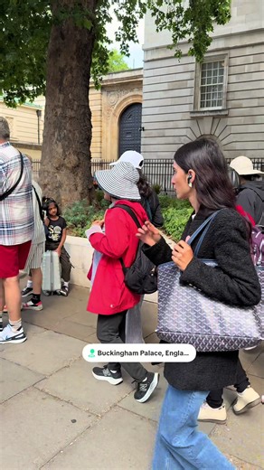 Double Trouble: Two Pickpockets in Action #pickpocketing #pickpocketslondon #pickpokets #londontiktok #londonsightseeing #fyp #changeofguard #buckinghampalace #streetthief #londonhotspots