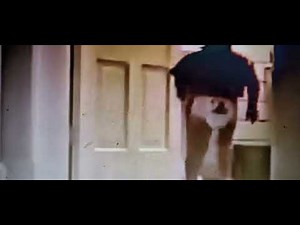 Vintage Pull Ups Commercial